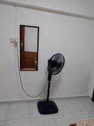 Blk 271 Bishan Street 24 (Bishan), HDB 4 Rooms #505439061